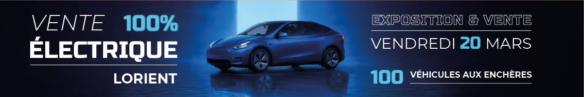Vente 100 électrique