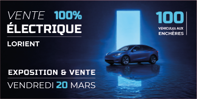 Vente 100 électrique